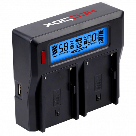 RP-DC50 HEDBOX Carica batteria LCD doppio 14.4V 