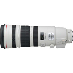 EF 200-400mm f/4L IS USM Extender 1,4x Canon teleobiettivo zoom 200-400mm con Moltiplicatore 1,4x