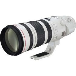 EF 200-400mm f/4L IS USM Extender 1,4x Canon teleobiettivo zoom 200-400mm con Moltiplicatore 1,4x