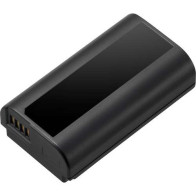 DMW-BLJ31E Panasonic Lumix Batteria al litio ricaricabile per Lumix Serie S