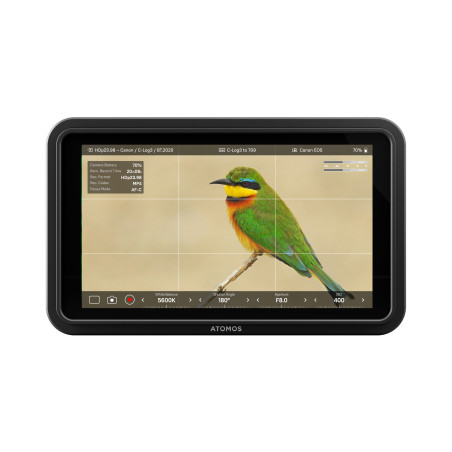 ATOMOS SHINOBI II 5" Monitor USB-C 2.0