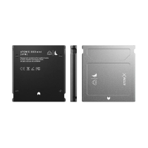 Angelbird AtomX SSD MINI 2TB - Manco.it