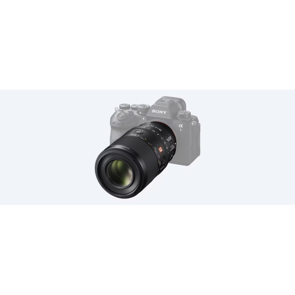 Sony FE 100 mm F2.8 Macro GM OSS - Manco.it